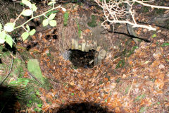 Wentloog Colliery culvert, Cwmfelinfach, December 2009
